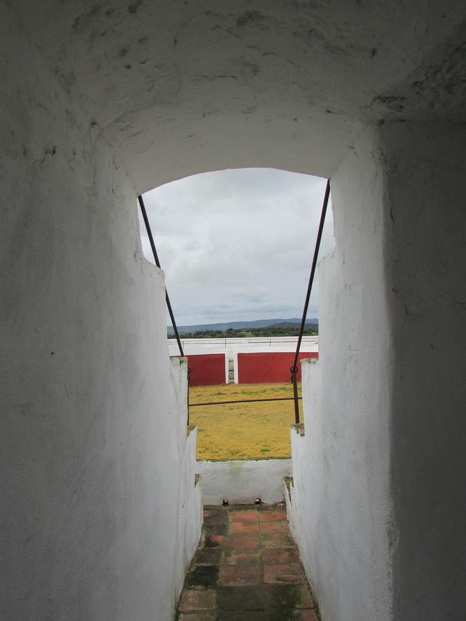 Hotel La Giralda Burguillos Del Cerro Kültér fotó